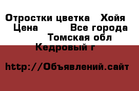 Отростки цветка  “Хойя“ › Цена ­ 300 - Все города  »    . Томская обл.,Кедровый г.